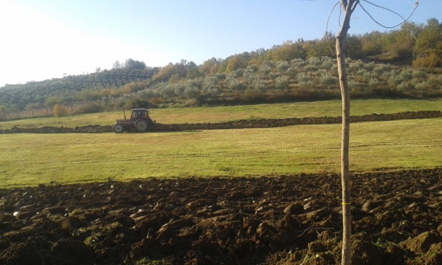 Lavori per sistemare il campo didattico presso Scuola professionale Ndre Mjeda_Bushat _20.11.2017